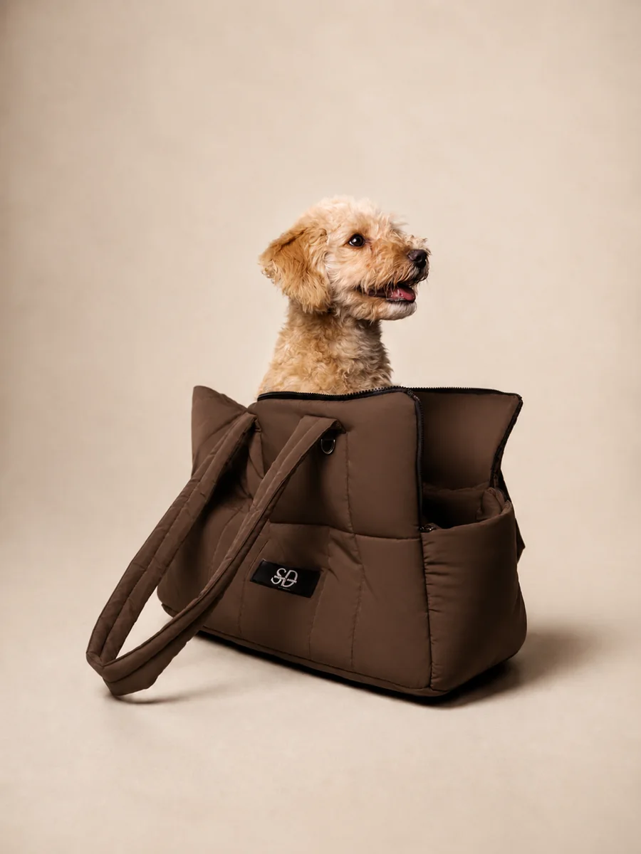 Pet Carrier café
