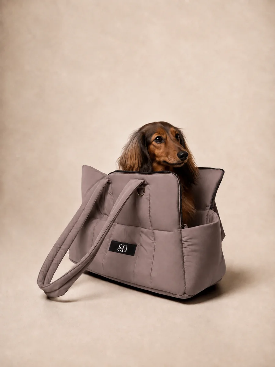 Pet Carrier taupe